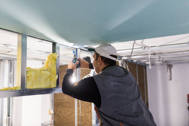 Best Spray Foam Insulation in Blue Mound, TX