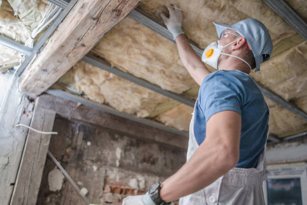 Best Eco-Friendly Insulation in Blue Mound, TX